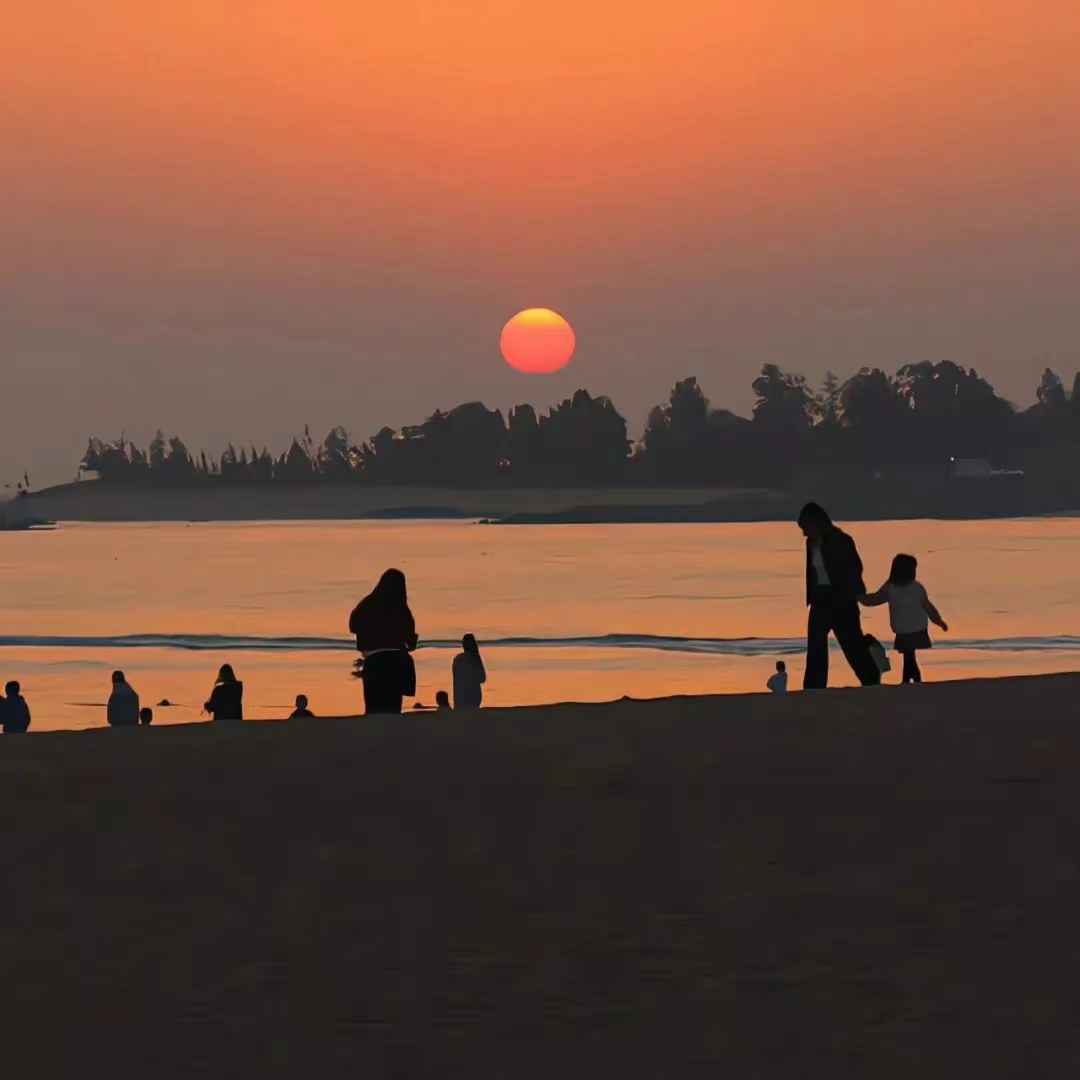 央视综艺节目里的“神仙”文案