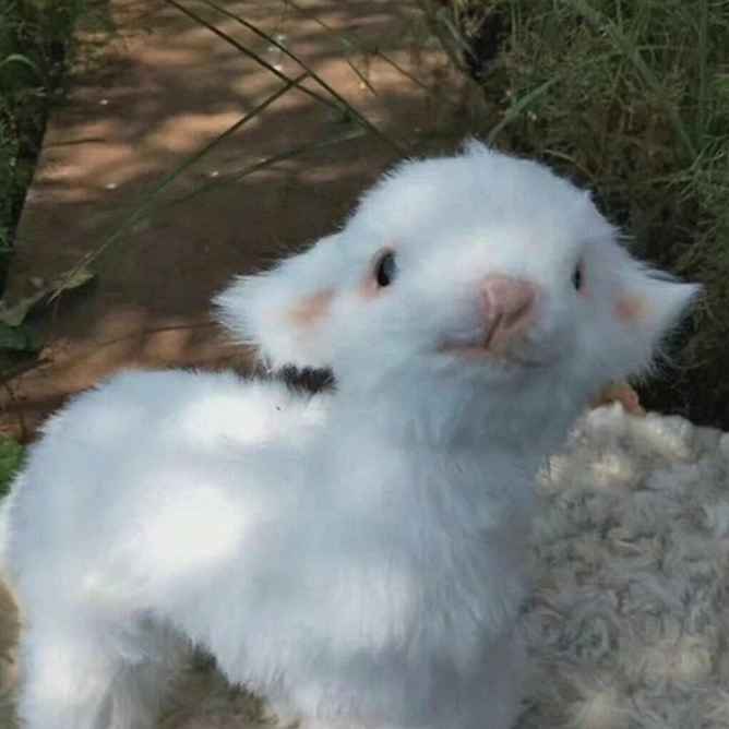 笑到腿软的反ome文案