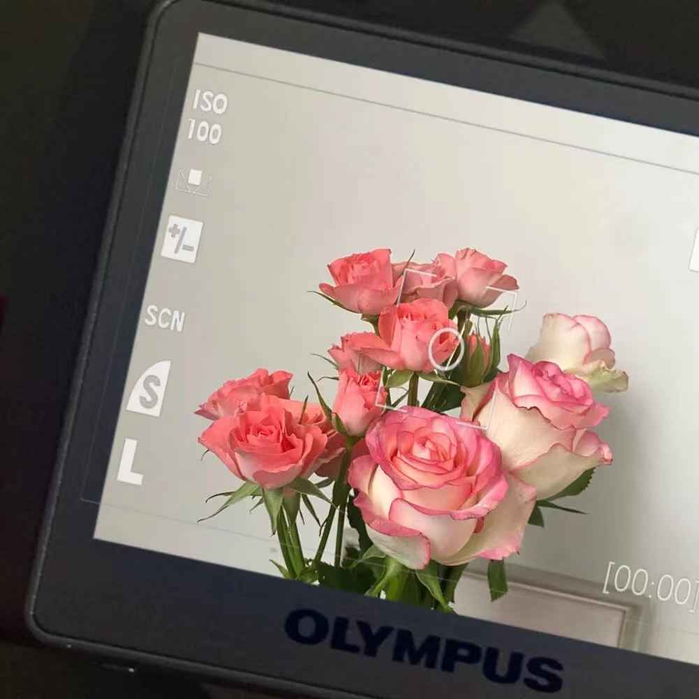 值得摘抄的高质量句子