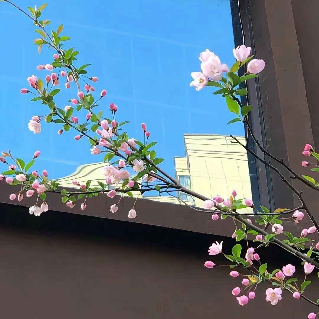 清新又治愈的春日品牌文案