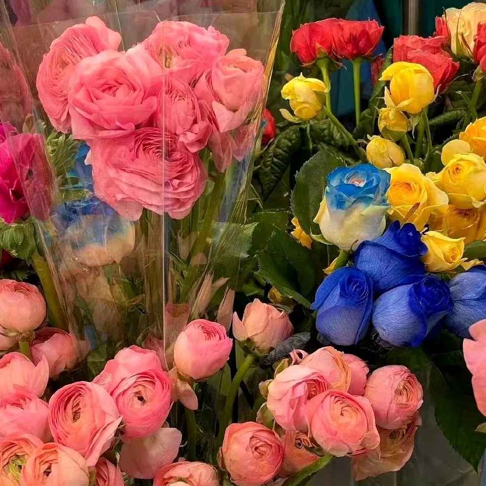 春日限定治愈文案