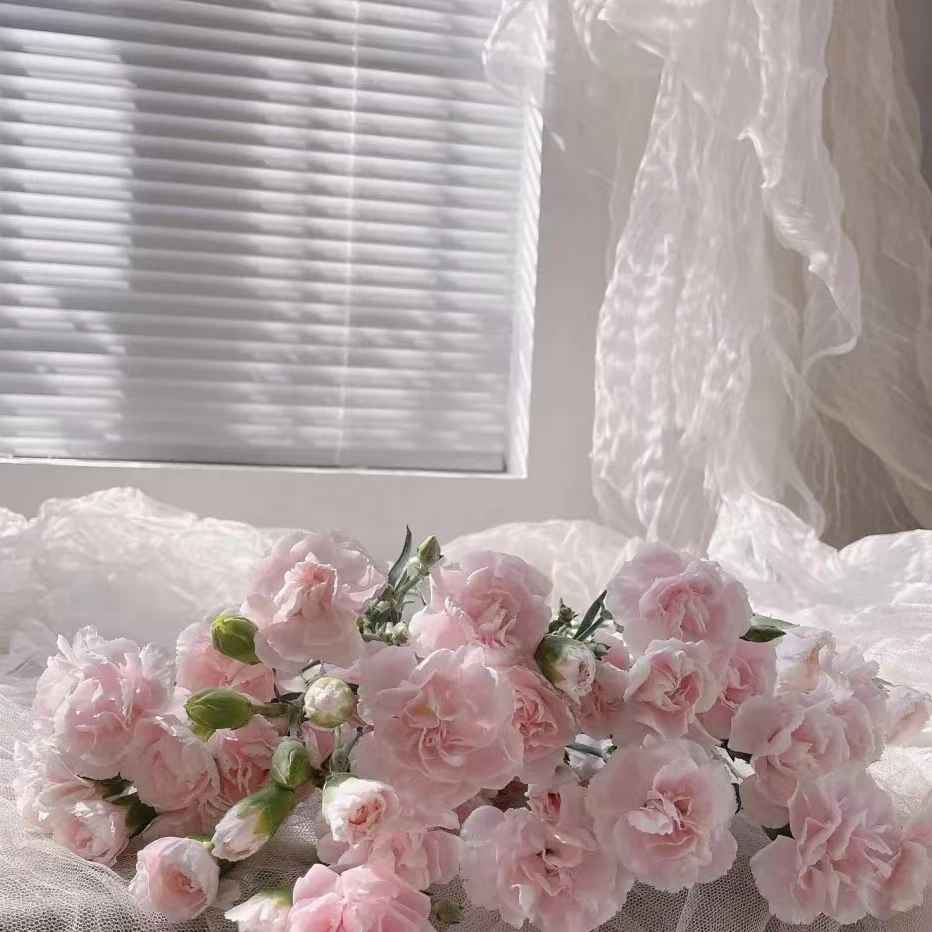 女神节祝福文案