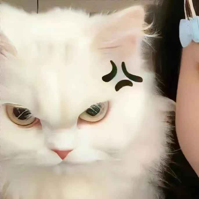 文明礼貌怼人文案