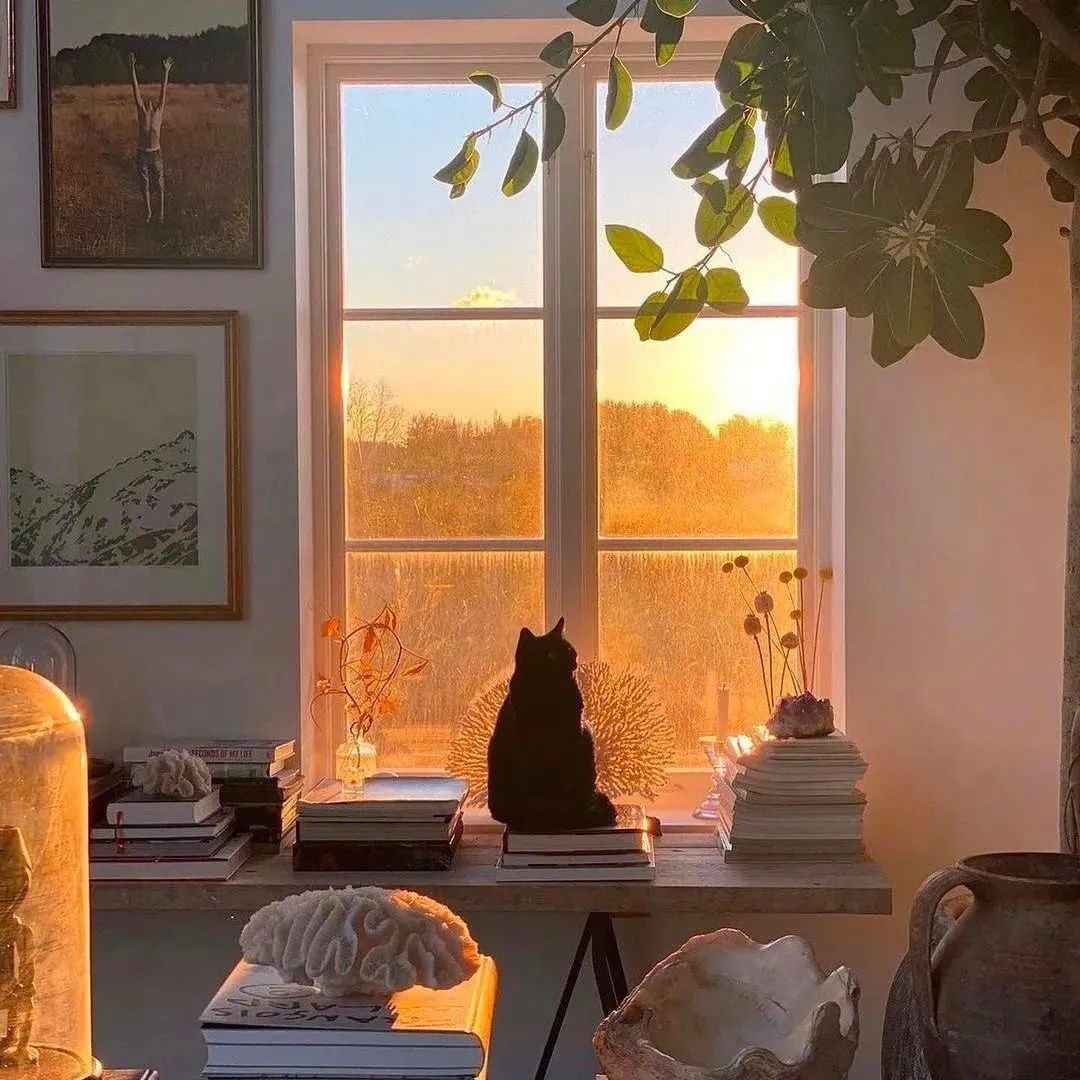 支撑你走很久的励志文案