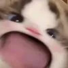 穿着拖鞋逛世界.