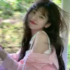 楠槿桉