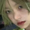 樛木