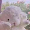 归辞