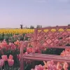 旧时旧识