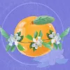柑橘栀子花
