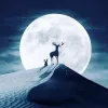 那条河叫时光