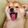温卷收