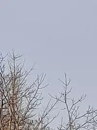 悟净出世
