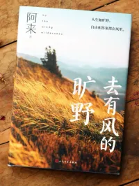 去有风的旷野