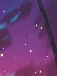 相闻