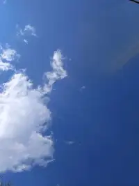 浮生一世,忽然而已