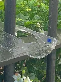 你所热爱的 就是你的生活
