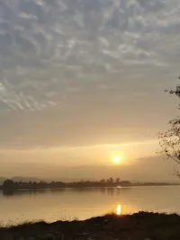 跟着一朵阳光走