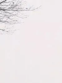 博物志