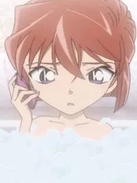 名侦探柯南灰原哀语录