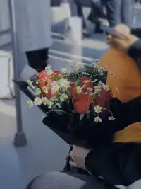 如此可爱的我们